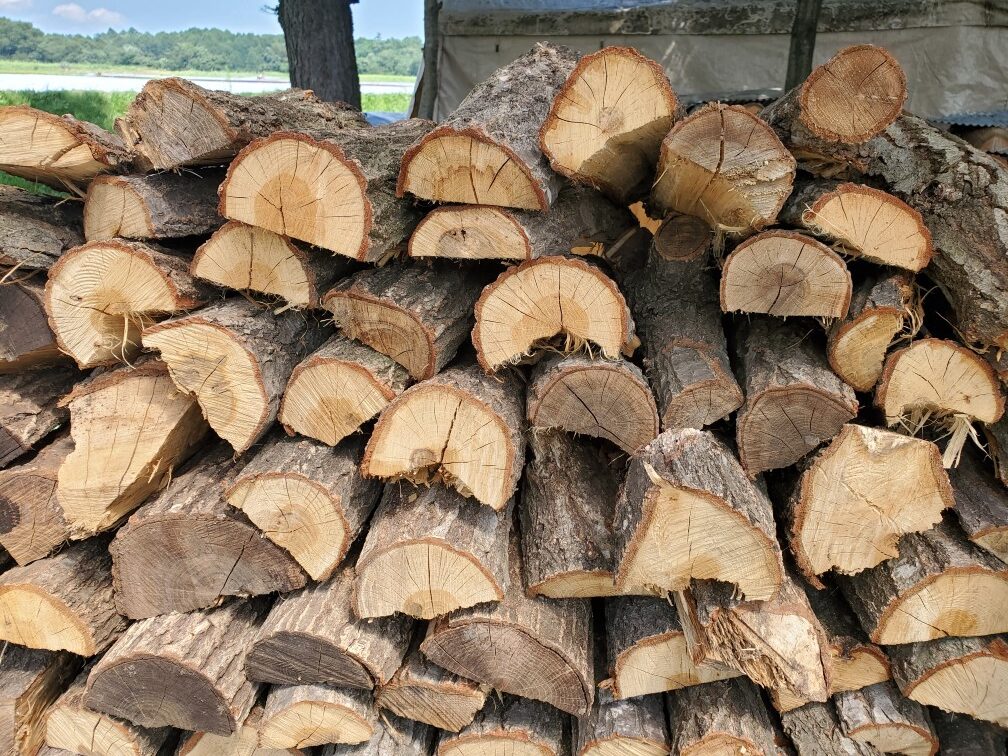 安い 薪割りしたい方に！広葉樹の玉切り丸太。長さ29cm程度。軽トラ  